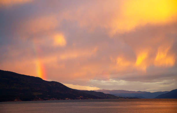 Elevated View Of A Forest Full Of Birch and Spruce Trees With Mountains In The Background And A Vibrant Double Rainbow Into The Forest