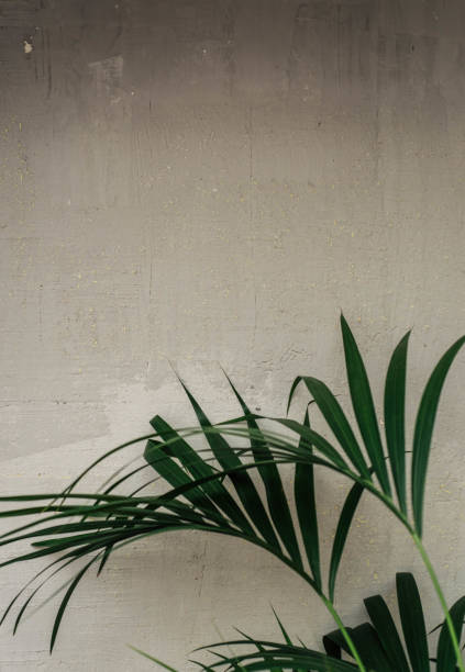 istock Image of a tropical plant inside a house 1407567698