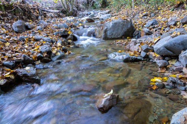 istock Murray Creek gently flowing over rocky riverbed 1407567963