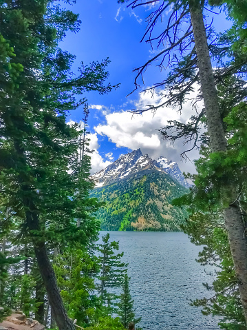 Jenny Lake is located in Grand Teton National Park in the U.S. state of Wyoming. The lake was formed approximately 12,000 years ago by glaciers pushing rock debris which carved Cascade Canyon during the last glacial maximum, forming a terminal moraine which now impounds the lake.