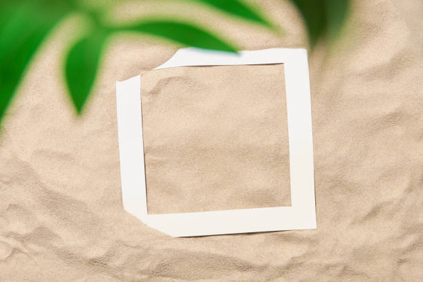istock Summer design, sand background, tropical leaf and paper frame: beach, vacations 1407568845