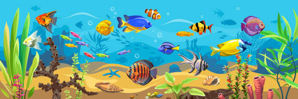 ilustrações de stock, clip art, desenhos animados e ícones de vector ocean world. exotic seascape with fish, seaweeds and corals. aquatic ecosystem. - starting at the bottom