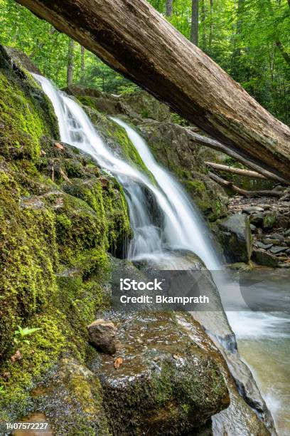 Waterfalls And Cascades Of The Dunnfield Creek Natural Area On The Appalachian Trail In The Delaware Water Gap National Recreation Area In New Jersey Usa Stock Photo - Download Image Now