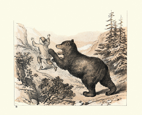 Vintage illustration, Bear attacking a boy in the Swiss mountains, Victorian 1880s, 19th Century