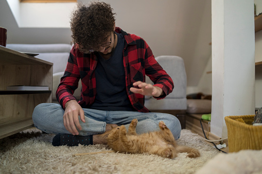 Young man playing with a ginger cat