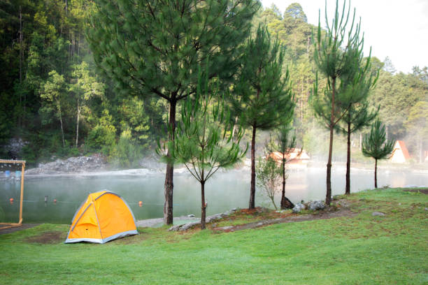 istock view of the forest and lake 1407579028