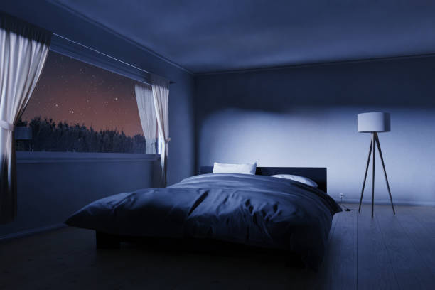 夜に居心地の良い低いベッドとベッドルームの3dレンダリング - pillow bedroom bed rural scene ストックフォトと画像