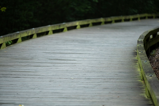 Wooden bridge footpath in Plitvice Lakes National Park . Croatia