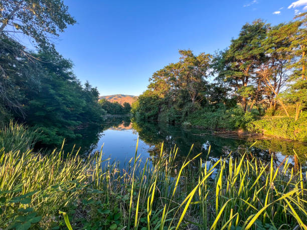 istock Barber Pool on the Boise River 1407582768