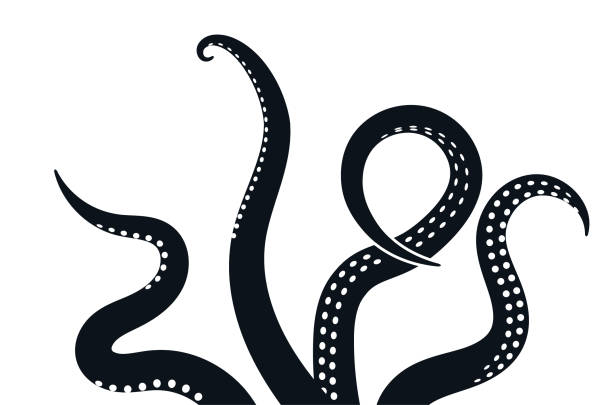 illustrations, cliparts, dessins animés et icônes de octopus tentacule vecteur géant illustration monstre créature marine. octopus tentacle squid icône de l’océan - tentacule