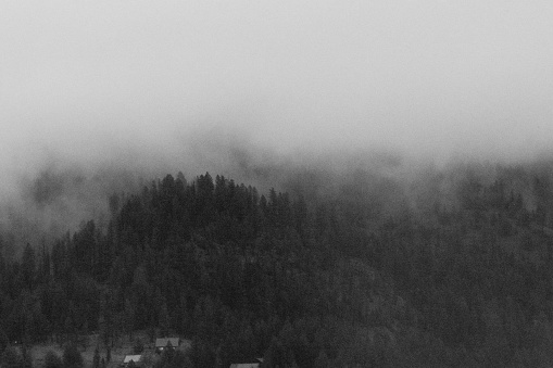 cloudy weather covering trees near a town