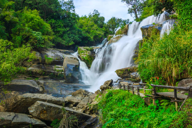 녹색 숲의 아름다운 폭포는 물을 더 부드럽게 보이게하기 위해 느린 셔터 속도로 촬영, mae klang 폭포, 치앙마이, 태국. - waterfall mountain stream thailand 뉴스 사진 이미지