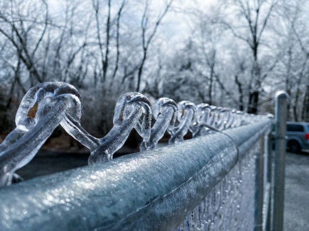 istock Frozen scenery after an icy rain storm 1407601255
