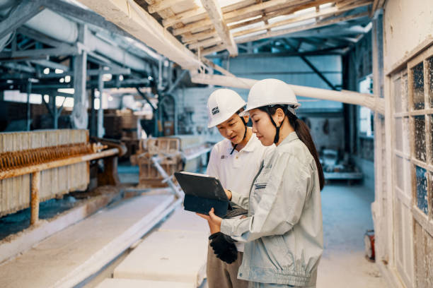 Mid adult woman speaking with a male employee in a factory stock photo