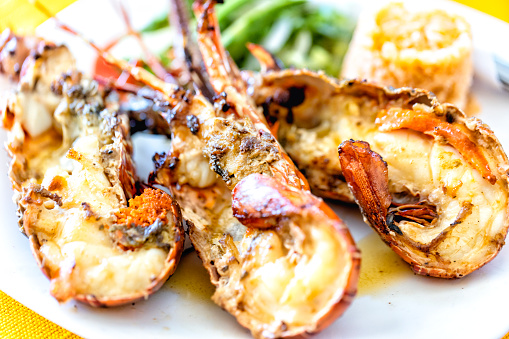 Lobster, sea food