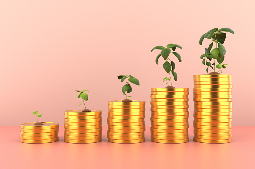 Money Growth Concept. Plants On Coins