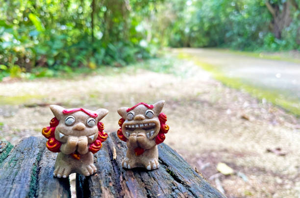 Shisa figurine and background material Okinawa