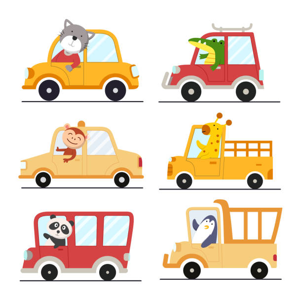 Set of various animals with different transportation Collection of animal with different cars, cat, crocodile, monkey, giraffe, panda, and penguin driving various cars in cartoon charactor, vector illustration funny-school-bus stock illustrations