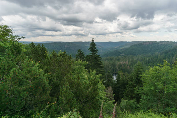 view at Black Forest landscape with view at wild lake und a partly cloudy sky, Germany stock photo