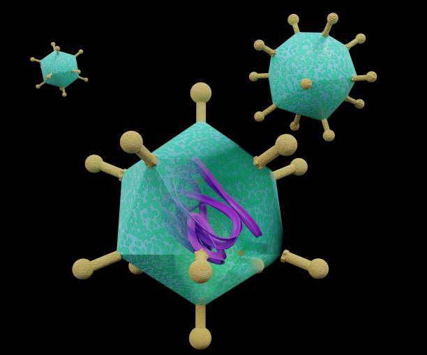 Isolated Adenovirus as oncolytic virus for tumor therapy 3d rendering