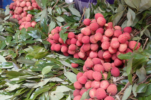 Lychee and green leaf displaying for sale .