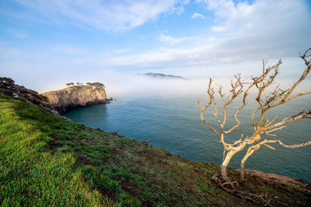 istock The scenery of Gungupdo Island 1407618142