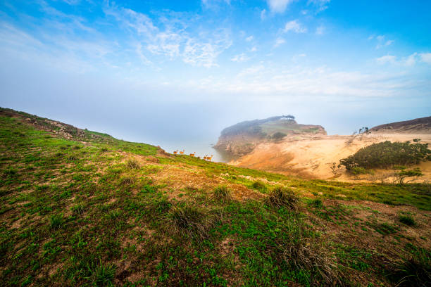 istock The scenery of Gungupdo Island 1407618154