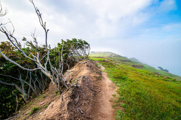 istock The scenery of Gungupdo Island 1407618656