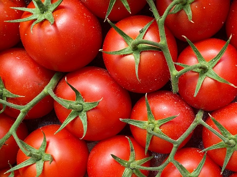 A group of red tasty tomatoes