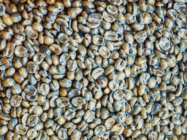 istock Fresh roasted coffee beans packed in vacuum sealed bag 1407629130
