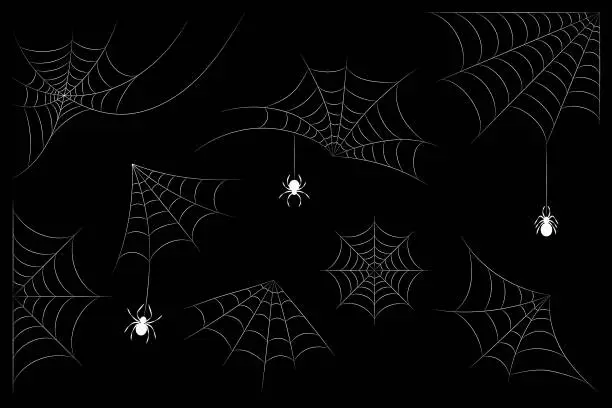 Vector illustration of set of cobwebs with white outline spiders on black background