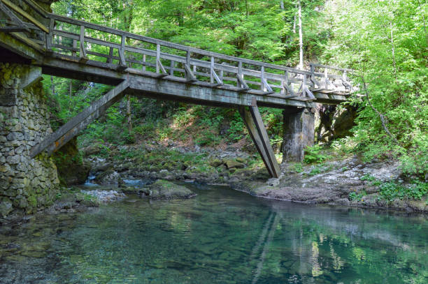 istock Wooden bridge over small mountain river Kamacnik 1407632203
