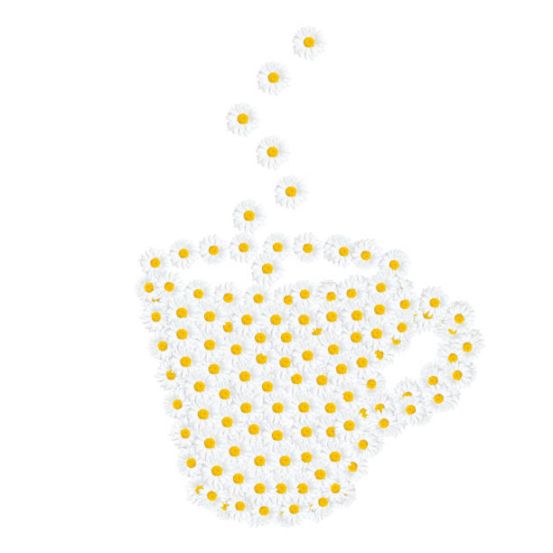 Blooming daisy heads arranged into a steaming camomile tea cup shape isolated on white background.
