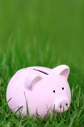 Pink Piggy bank on green grass in summer, copy space. World crisis concept. Vertical photo