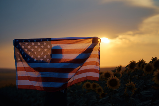 Young man holding American flag on back while standing in sunflower field. Looking at the sunset