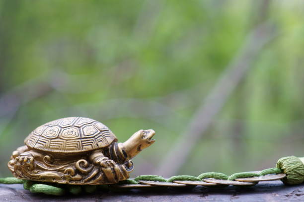 istock A metal turtle with Chinese coins. 1407638317