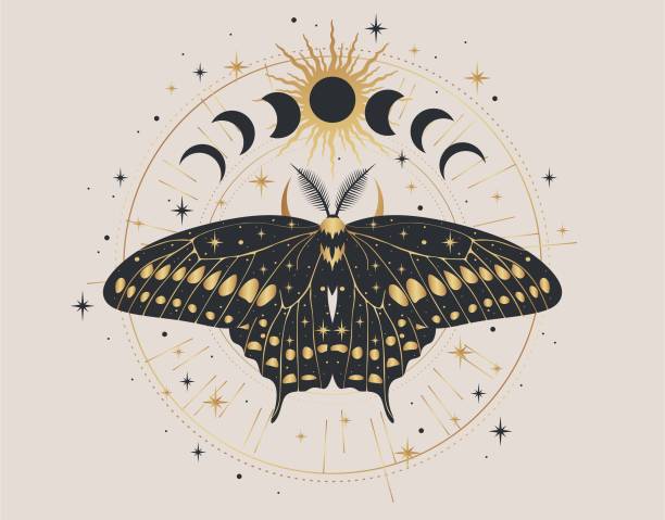 мистическая золотая моль изолирована векторной иллюстрацией. - moth stock illustrations