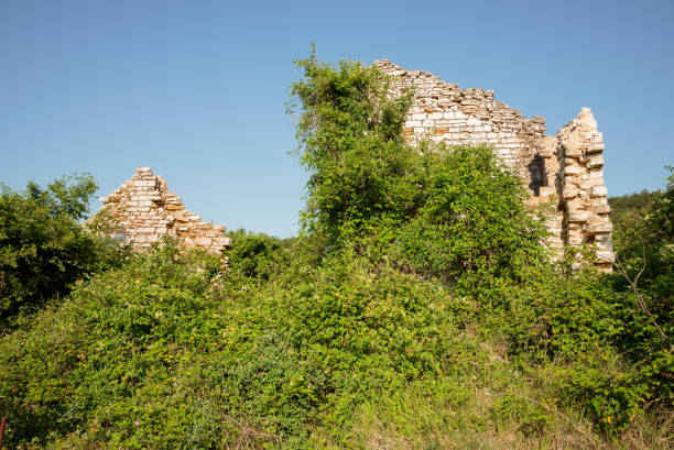 Ruin of an old stone house, in the Cesane mountains in Italy, Marche, close to Pesaro and Urbino. Various plants like broom and other herbs groe around