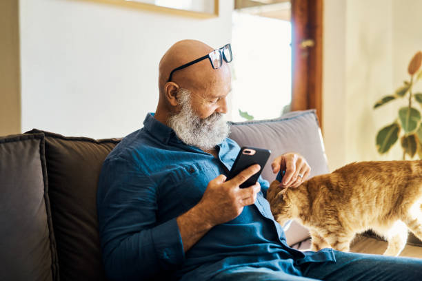 彼のペットとリラックスし、ソファでインターネットを検索する成熟した男性。テキストメッセージを読んで引退した男。電話を使ってオンラインで閲覧し、自宅のソファで猫と遊んでいる� - senior adult relaxation sofa reading ストックフォトと画像