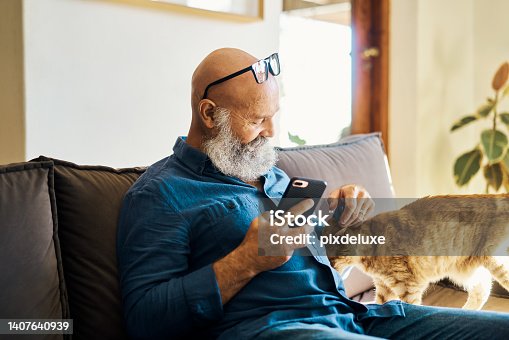 istock Mature male relaxing with his pet and searching the internet on the sofa. Retired guy reading a text message. Senior man using a phone to browse online and playing with his cat on the couch at home. 1407640939
