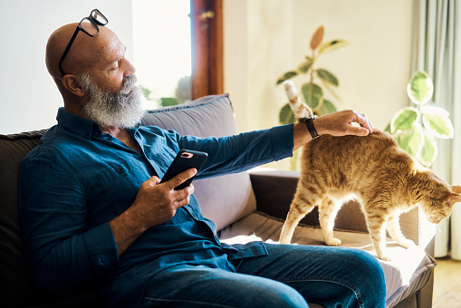 Older man and cat relaxing on sofa at home on sunny day. Stylish alternative bald male with groomed facial hair, playing with his ginger tabby on weekend. Stretching pet getting attention from owner