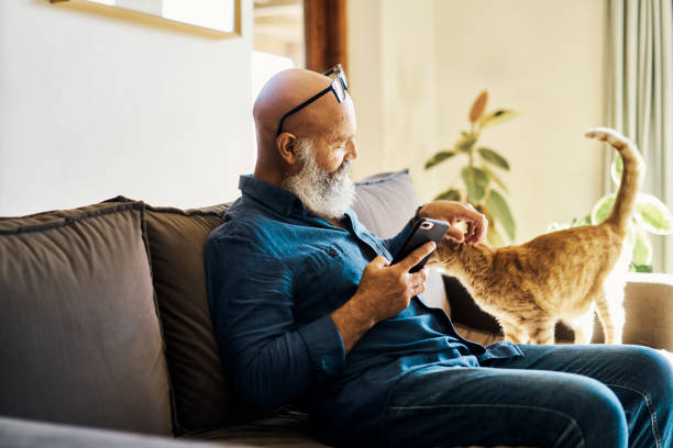 電話を使ってオンラインで閲覧し、自宅のソファで猫と遊んでいる年配の男性。ソーシャルメディアを検索しながらリラックスしてペットを撫でる成熟した男性。テキストメッセージを読ん� - senior adult relaxation sofa reading ストックフォトと画像