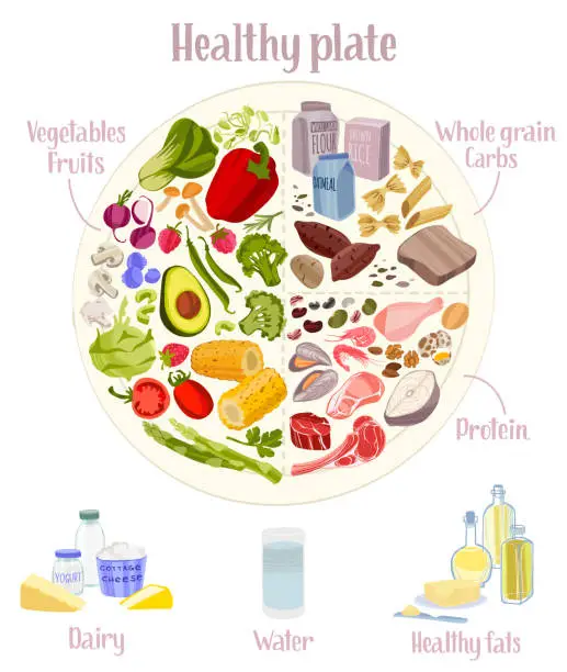 Vector illustration of Rational diet infographics. Healthy eating plate concept.