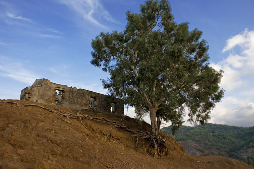 Ruined house in Alévga, a Turkish village abandoned in 1964. The village was evacuated when the area was under attack by the Greek Cypriot National Guard in the Battle of Tyllira