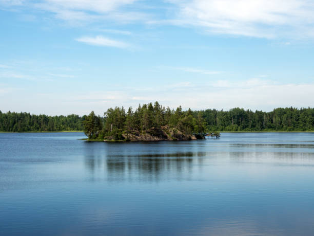 istock island on a forest lake 1407645819