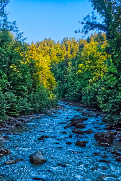 istock Twirling River at Rappenlochschlucht 1407646054