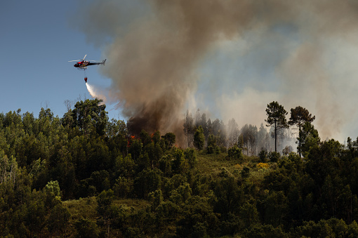 Firefighter dropping water in a Forest Fire during Day in Povoa de Lanhoso, Portugal.