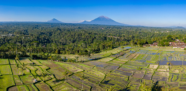 Aerial view of a rice field in Bali with the volcano Agung in the background. The horizon is skewed because of the landscape is really skewed.