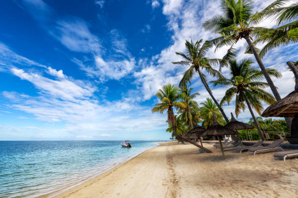 istock Paradise beach resort in tropical island 1407652428