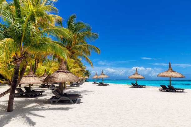 istock Paradise beach resort in tropical island 1407652439